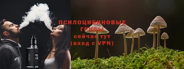 гидра Алзамай
