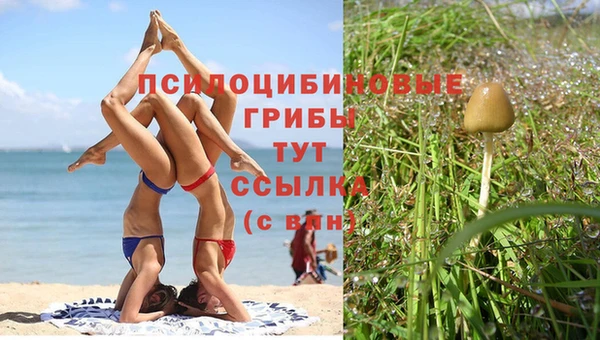 СК Абаза